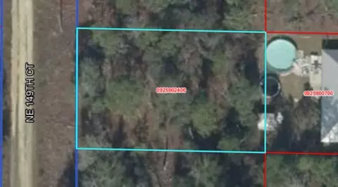 Ne 149th Ct, Williston, FL 32696 photo 2