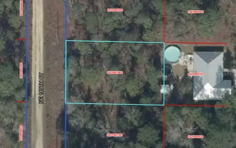 Ne 149th Ct, Williston, FL 32696 photo 3