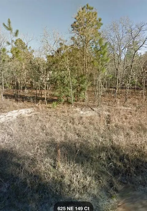 Ne 149th Ct, Williston, FL 32696
