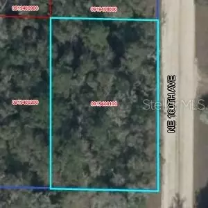 lot2 NE 160th Ave, Williston, FL 32696