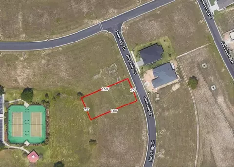 253 Pine Lilly Ct, Lake Alfred, FL 33850