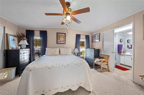 4704 Lanca Ln, Saint Cloud, FL 34772 photo 19