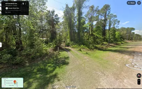 433 Gardenia Ave, Georgetown, FL 32139