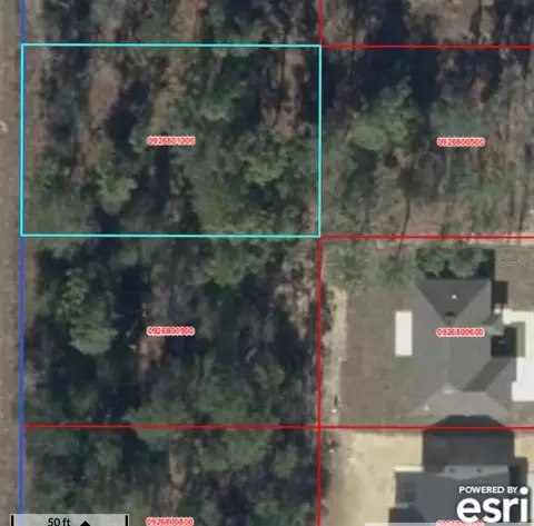 Ne 151st Ave, Williston, FL 32696 photo 3