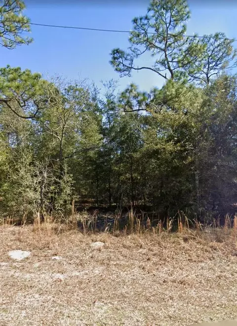 Ne 151st Ave, Williston, FL 32696 photo 4