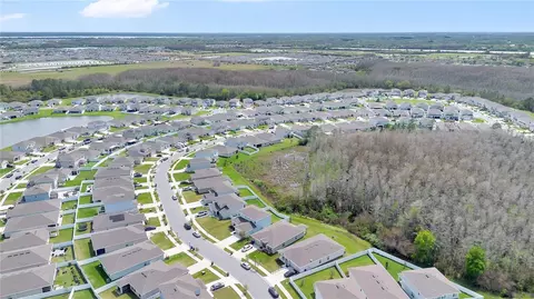 View/Area - 557 Pink Ibis Bnd, Saint Cloud, FL 34772 photo 5 of 6