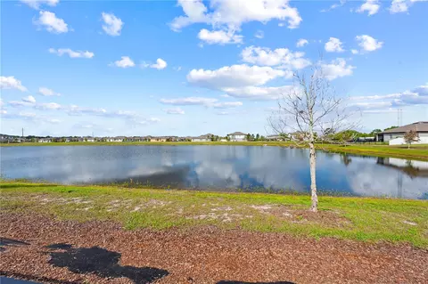View/Area - 920 Livestock Loop, Saint Cloud, FL 34771 photo 3 of 4