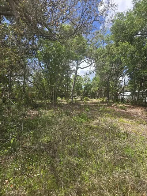 8140 Walt Williams Rd, Lakeland, FL 33809