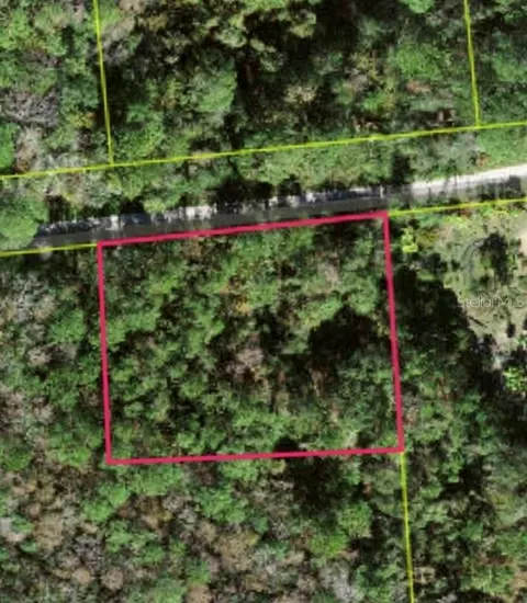 lot48 Amelia Trl, Kissimmee, FL 34747