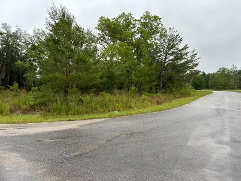 1 Malauka Radial Dr, Ocklawaha, FL 32179