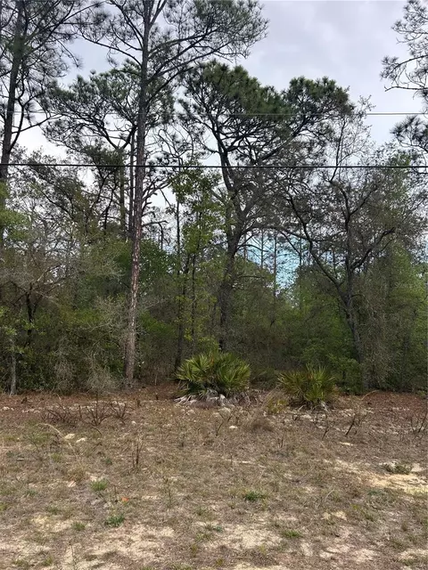 742 E Weldon Ln, Dunnellon, FL 34434