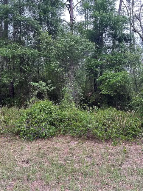 6265 N Allston Ter, Dunnellon, FL 34433