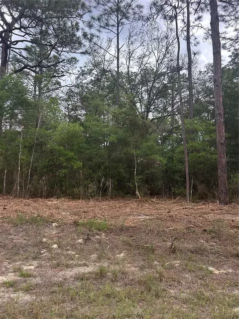 10831 N Mataro Ave, Citrus Springs, FL 34434