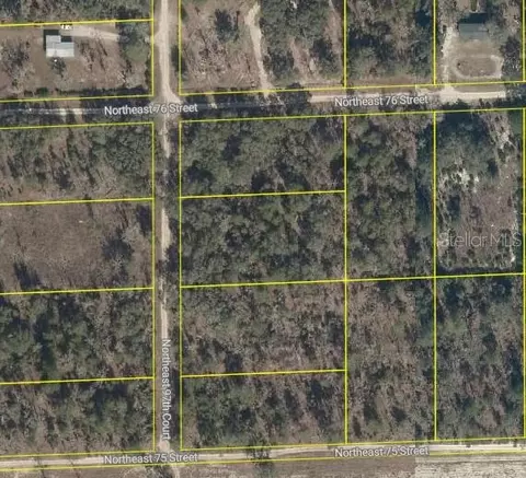 NE 97th Court, Bronson, FL 32621
