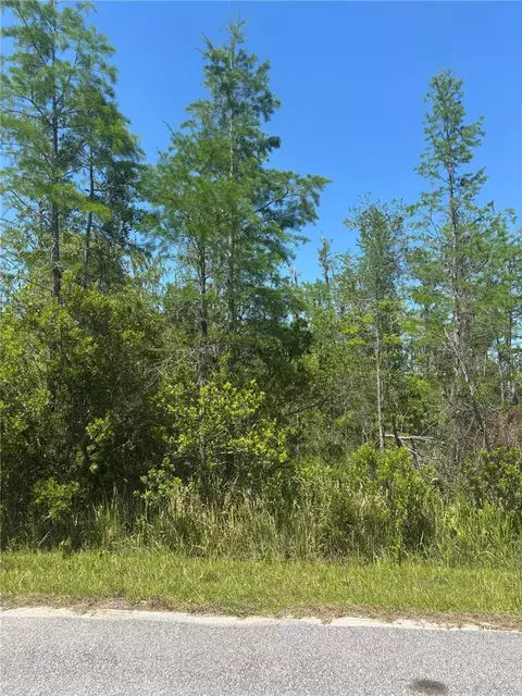 Atlas Drive, Saint Cloud, FL 34773