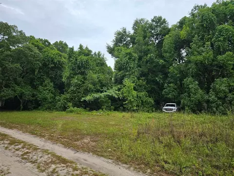 Se 140th Terrace, Ocklawaha, FL 32179