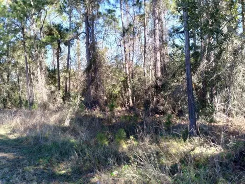 Poyner Road, Polk City, FL 33868