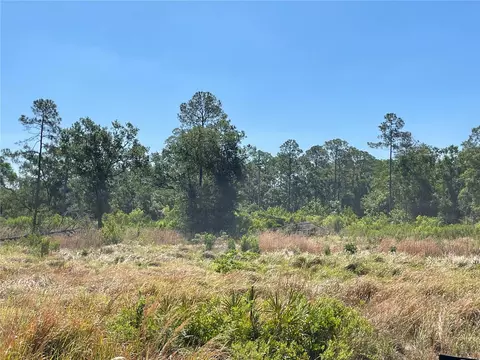 Avonwood, Tampa, FL 33625
