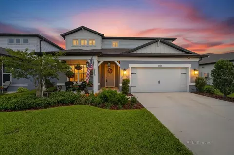 3899 Ivy Springs Ln, Land O Lakes, FL 34638