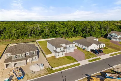View/Area - 5867 Sierra Crown St, Mount Dora, FL 32757 photo 6 of 6