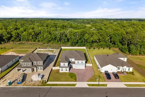 View/Area - 5867 Sierra Crown St, Mount Dora, FL 32757 photo 4 of 6