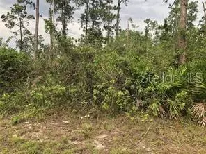 19619 NW 242nd St, Okeechobee, FL 34972