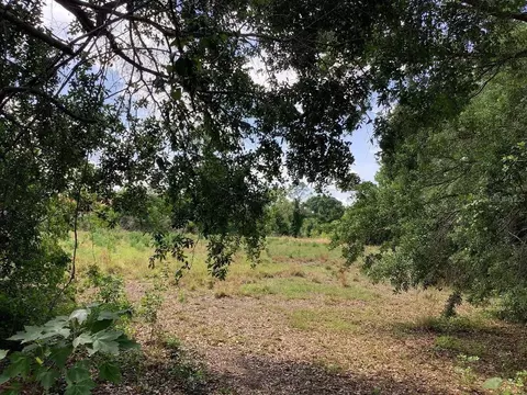 0 Winners Cir, Kissimmee, FL 34744