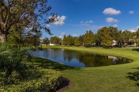 View/Area - 7710 Fairgrove Ave, Windermere, FL 34786 photo 2 of 3