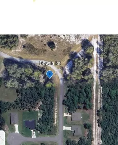 Inside Curve Bowfin Drive, Poinciana, FL 34759