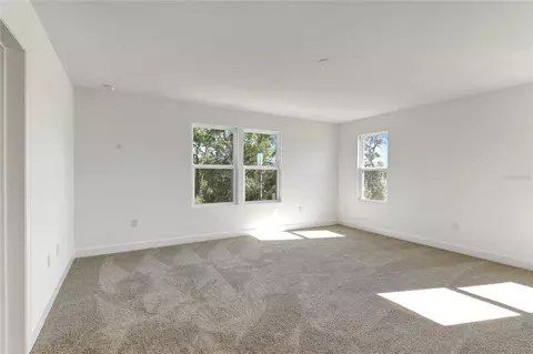 Other - 1010 Cloud Ridge Ct, Mount Dora, FL 32757 photo 2 of 3