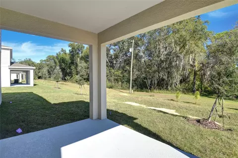 Other - 1010 Cloud Ridge Ct, Mount Dora, FL 32757 photo 3 of 3