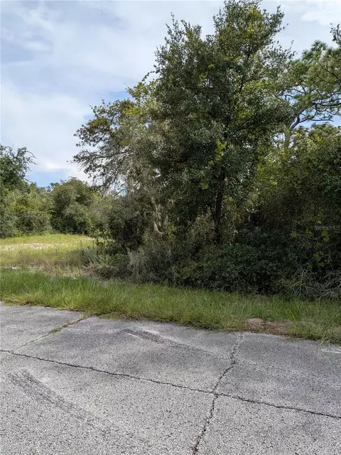 408 Vernon Ct, Kissimmee, FL 34759