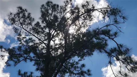 2575 Bear Run S, Frostproof, FL 33843 photo 9