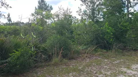 2575 Bear Run S, Frostproof, FL 33843 photo 5