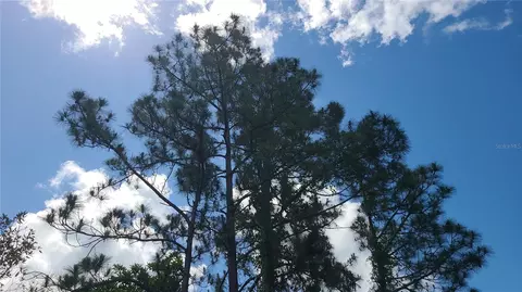 2575 Bear Run S, Frostproof, FL 33843 photo 10