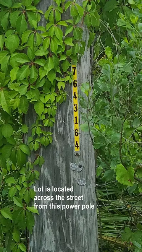 2575 Bear Run S, Frostproof, FL 33843 photo 7