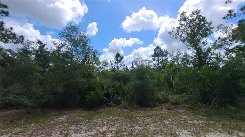 2575 Bear Run S, Frostproof, FL 33843 photo 11