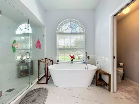 Bath - 909 Grovesmere Loop, Ocoee, FL 34761 photo 3 of 7