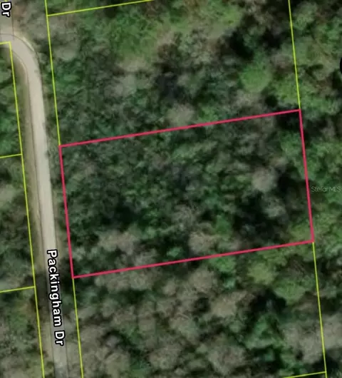 Packingham Dr, Webster, FL 33597