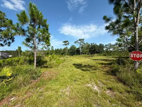 6139 Krazy, Saint Cloud, FL 34773 photo 2
