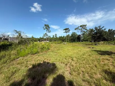 6139 Krazy, Saint Cloud, FL 34773 photo 4