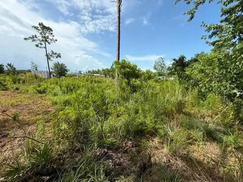 6139 Krazy, Saint Cloud, FL 34773 photo 12