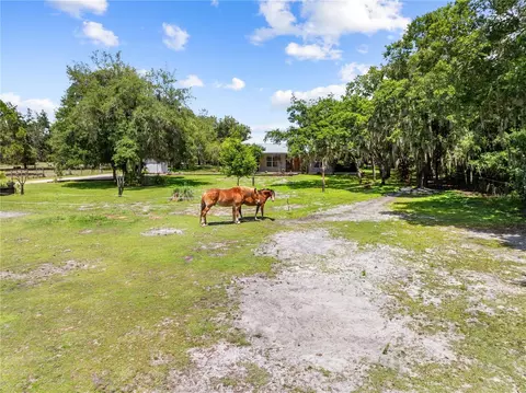 Exterior - 4295 Rambler Ave, Saint Cloud, FL 34772 photo 23 of 24