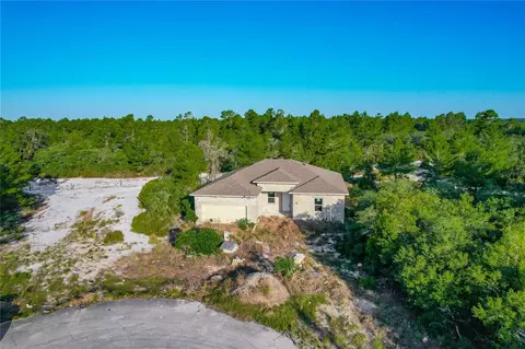 619 Alafia Pl, Poinciana, FL 34759