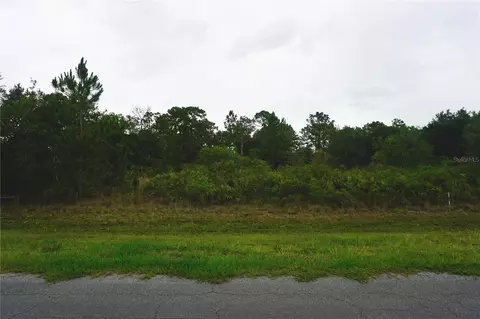 Reynolds Parkway, Orlando, FL 32833
