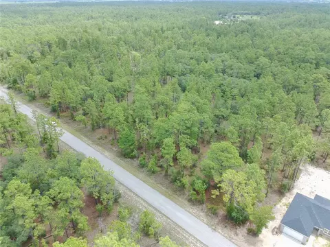 SW Buena Vista Road, Dunnellon, FL 34431