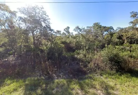 441 Vernon Ct, Kissimmee, FL 34759