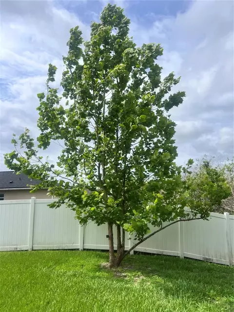 Other - 3739 Ricky Ln, Saint Cloud, FL 34772 photo 12 of 15