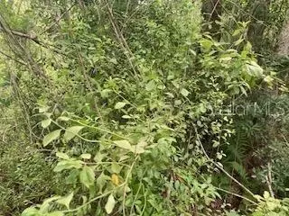 Sweetwater Trail, Kissimmee, FL 34747