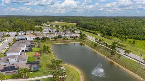 View/Area - 17023 Goldcrest Loop, Clermont, FL 34714 photo 10 of 30